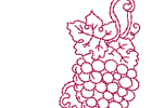 rwfallgrapes 006 5x7