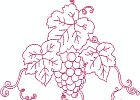 rwfallgrapes 009 5x7