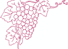 rwfallgrapes 010 5x7