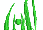 CDT10