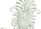 ds098 1