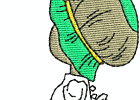 DYD12718a