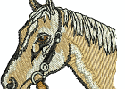 06011