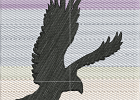 0hawk1