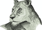 AFRICA112a