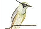 AP1895C 007