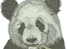 ASIA116