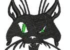 BlackCat V3