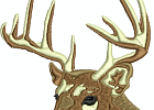 Hirsch