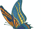 Schmetterling