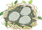 Vogelnest