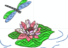 WaterLily03