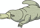 australianpals2 005