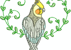 cockatiels01