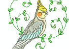 cockatiels02