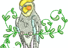 cockatiels03