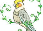 cockatiels04
