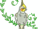 cockatiels07