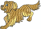 goldenretrievers-2