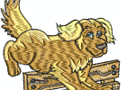 goldenretrievers-3