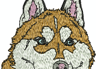 malamuteshuskies 001