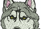 malamuteshuskies 002