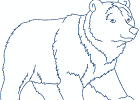 naspiritbears 001 5x7