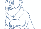 naspiritbears 002 5x7