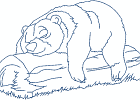 naspiritbears 003 5x7