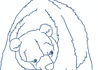 naspiritbears 005 5x7
