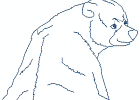 naspiritbears 006 5x7