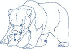 naspiritbears 007 5x7
