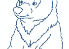 naspiritbears 009 5x7
