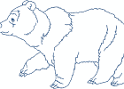 naspiritbears 010 5x7