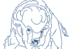 nativeamericanbuffalospirit 002 5x7