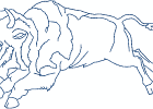 nativeamericanbuffalospirit 003 5x7