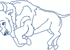 nativeamericanbuffalospirit 004 5x7