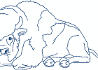 nativeamericanbuffalospirit 006 5x7