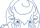 nativeamericanbuffalospirit 007 5x7