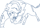 nativeamericanbuffalospirit 009 5x7