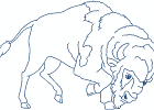 nativeamericanbuffalospirit 010 5x7