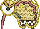 nativeaustralia 004