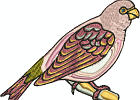 prettybirdie