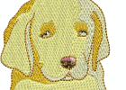 realdogheads10