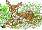 realwildlife 001