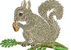 realwildlife 005