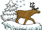 realwildlife 006
