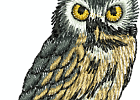 realwildlife 008