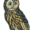 realwildlife 009
