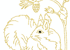 rwsquirrel 002
